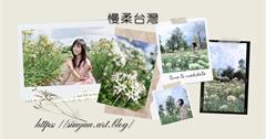宜蘭｜員山韭菜花田：如九月雪！田埂中的小白花海，季節限定田園美景一次拍個夠！