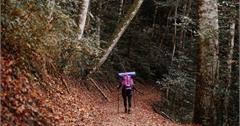 新竹｜霞喀羅古道出遊懶人包：走在山林吊橋間，賞櫻、賞楓都適合！兩天一夜出遊剛剛好