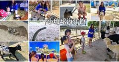 屏東｜小琉球海洋館：3D彩繪區、可愛動物區、海洋生物區，觸摸體驗超療癒!