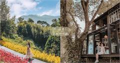 新竹｜8間森林系景觀咖啡廳推薦：打卡絕美玻璃觀景台、湖景咖啡廳，山水美景一次get！