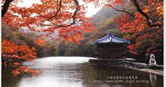 韓國｜內藏山國立公園：韓國第一楓葉山！走進滿山楓紅美景，感受濃厚秋意