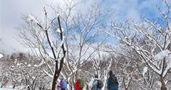 冬季旅遊勝地「城崎溫泉」玩雪、泡湯、螃蟹應有盡有