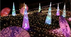 日本｜12月到京都 感受璀璨冬夜的浪漫
