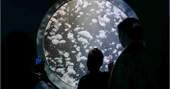 屏東｜國立海洋生物博物館：參觀海底隧道珊瑚礁生態、體驗沉船探險，親子共遊超棒的！