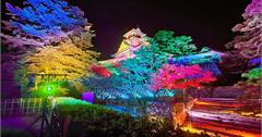 日本｜2023高知光之祭典：NAKED夜祭呈現7大藝術體驗，感受沉浸式祭典互動，必拍亮點總整理