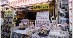 日本北海道｜函館朝市：體驗釣烏賊、品嘗新鮮便宜日式海鮮料理！感受日本早市魅力
