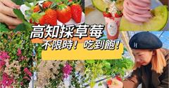 日本高知縣｜西島園藝團地：高知縣最大花果樂園，採草莓吃到飽，還有哈密瓜、西瓜天天吃得到！