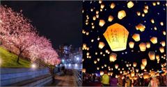 2024全台2月活動推薦！打卡台版富良野薰衣草花海，櫻花樹下浪漫野餐，還有精彩奔羊節！