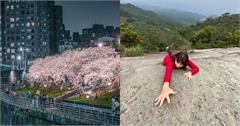 台北｜內湖11個踏青一日遊景點推薦：白天採草莓、走步道，晚上賞夜櫻