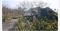 嘉義｜鶑山民宿：阿里山純樸景觀湯屋，櫻花林逐次綻放，宛如走進世外桃源