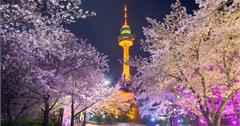 2026韓國自助攻略：電子入境申請、行動電源攜帶規範、退稅、信用卡推薦一次看！