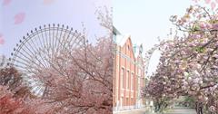 日本｜2024大阪10大賞櫻勝地：公園、寺廟、遊樂園都能看櫻花，快買機票出發！