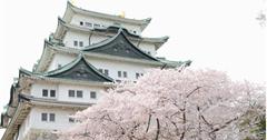 日本｜2024名古屋5大賞櫻景點：到古城、庭園賞櫻花盛開繁景，體驗日本在地賞櫻儀式感！