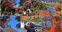 日本愛知｜寂光院：登300階石階賞千棵楓紅！遠眺犬山城，參拜日本神社