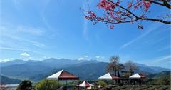 宜蘭｜玉蘭茶園：蘭陽十八景之一！藍天群山環抱的開放式茶園，順道欣賞春櫻綻放
