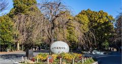 日本東京｜上野恩賜公園：動物園、博物館、美術館設施都在這！四季各有不同美景可看