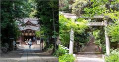 日本｜14個東京神社推薦！朝聖最夯「洗錢」聖地，拜訪招財貓神社求姻緣，就連毛小孩都能求平安！