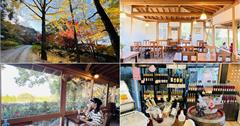 日本九州｜Kyoho Winery巨峰葡萄酒莊：福岡必去最古老百年釀酒廠，參訪地下酒窖、喝下午茶