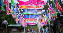 桃園神社鯉魚流光祭り『3米激巨鯉魚』空襲神社 鯉魚群潮狂歡集結，空中騷動再現！