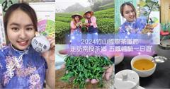 南投｜2024竹山國際茶道節：探訪茶葉與它們的產地！茶園巡禮、苔球DIY、採茶體驗，一日遊就這樣玩