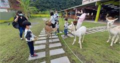宜蘭｜心花鹿Fun農場：梅花湖畔大片綠地，近距離接觸鹿、羊駝、兔子，冬山親子景點推薦