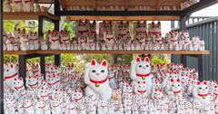 日本｜東京豪德寺散策：搭乘「福の招き猫電車」拜訪招財貓聖地！上千隻招財貓招福氣