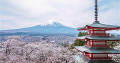 日本山梨｜新倉富士淺間神社：追富士山必來景點！踏上398個階梯沉浸百株櫻花浪漫樹海