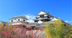 日本｜超前佈署！台灣遊客旅日平均提前近三個月開始預訂住宿　遊日回訪更深度、二線城市及地方特色景點旅遊比例增