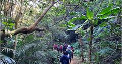 新北｜微笑山線大縱走旅遊路線連結城市與家山　深度體驗在地生活美學
