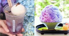 日本｜鎌倉賞繡球花必吃5大甜點：趁6月花季來吃限定甜點！美食配美景超幸福