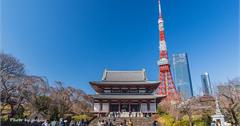 日本東京｜增上寺：探訪莊嚴肅穆的百年古蹟佛寺，江戶幕府德川家靈廟也在此！