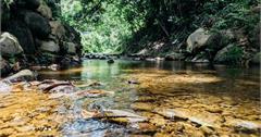 南投｜埔里兩天一夜小旅行：溪邊探險、拜訪蜜蜂爺爺、湖景飯店泡溫泉、童話般巧克力工廠
