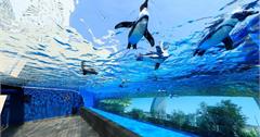 日本｜夏日炎炎遊chill一下 東京三大人氣水族館親子遊最佳選擇 