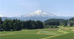 日本｜秋田的夏日精彩無比！鳥海山、元瀧伏流水、中島台獅子鼻濕原，還有季節限定稻田藝術不容錯過！