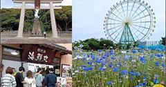 日本｜茨城一日遊：大洗磯前神社、那珂湊海鮮市場、國營海濱公園～花海美食玩透透