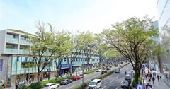 日本東京｜原宿澀谷推薦：朝聖次文化發源地澀谷PARCO！逛KIDDY LAND買動漫周邊、吃超療癒法國料理