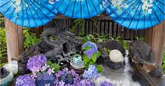 日本東京｜法輪寺：浪漫繡球花渲染神聖神社，隨季節更換花手水、IG超紅御朱印必蒐集