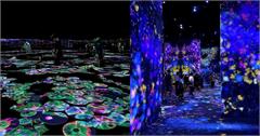 日本｜六本木麻布台 Hills teamLab ★ Borderless：用燈光走進沒有邊界的美術館，館內玩法亮點推薦！