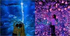 日本｜東京8大室內景點推薦：池袋太陽城、麻布台TeamLab、墨田水族館，雨天不怕沒地方去