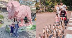 台南｜12個親子景點推薦：最新眷村園區、全台最大千坪花園、化石博物館，通通有！