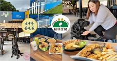 台中｜動物空間：跟毛孩一起喝下午茶！專屬毛孩鮮食餐，戶外戲水池、大草皮盡情奔跑