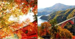 日本｜廣島秋季必訪9大景點推薦！從賞楓到看銀杏，在地人才知道的秘密景點一次看