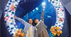 日本｜DMM Kariyushi水族館聖誕特別活動，打造沖繩夢幻打卡熱點！