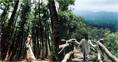 台中｜台中戶外景點小百科：稍來山、大坑步道、九天黑森林，登山步道、外拍秘境，走入自然替身心充電！