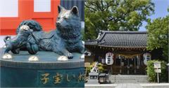 日本｜三間日本懷孕求子神社推薦！在「戌之日」參拜祈求平安，讓運勢吉上加吉