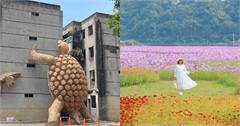 桃園｜桃園活動小百科：海芋、蓮花、仙草花節繽紛綻放，跟著地景藝術探索桃園之美，全年特色活動一次看！