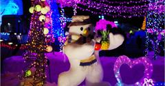 日本｜10大秋田冬季祭典：大日堂舞樂、犬子祭典、和田湖冬物語，享受自然景觀與傳統文化的感動！