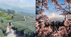 嘉義｜精選7個阿里山日出景點！日出、雲海與層層山巒都入框，欣賞一生必賞一次的美景