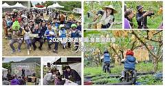 台東｜2024釋迦遊樂園：一日闖關體驗！採果、DIY、障礙賽、樂團演唱，親近自然的食農園遊會