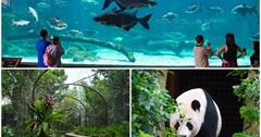 新加坡｜河川生態園：戶外水生動物園，搭乘探索船觀賞河川生態＆動物！